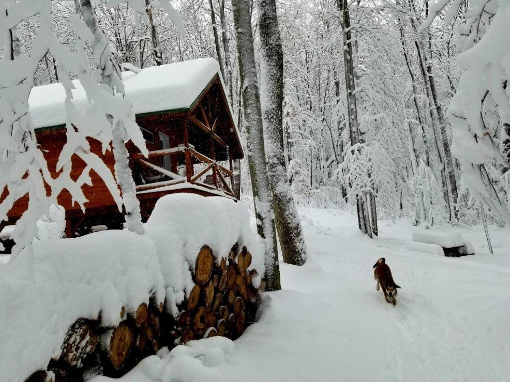 Les Cabines Nordik 2.0 Shawinigan Exterior foto