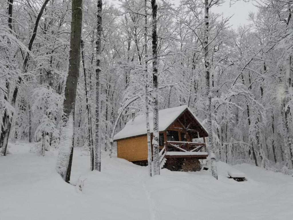 Les Cabines Nordik 2.0 Shawinigan Exterior foto