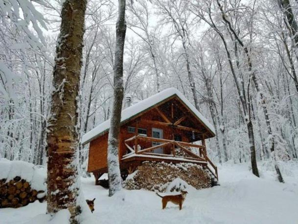 Les Cabines Nordik 2.0 Shawinigan Exterior foto